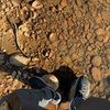 shoesforwearin shoesforwearin